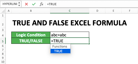 How to Use TRUE and FALSE Formulas in Excel: Function, Example, and Writing - Screenshot of Step 1-2