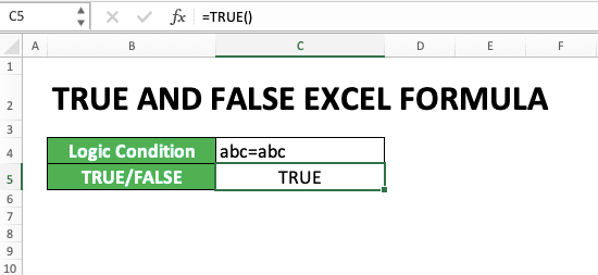 How to Use TRUE and FALSE Formulas in Excel: Function, Example, and Writing - Screenshot of Step 1-5