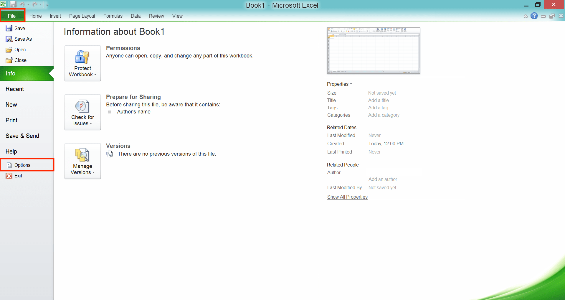 How to Add the Developer Tab in Excel - Screenshot of Step 1
