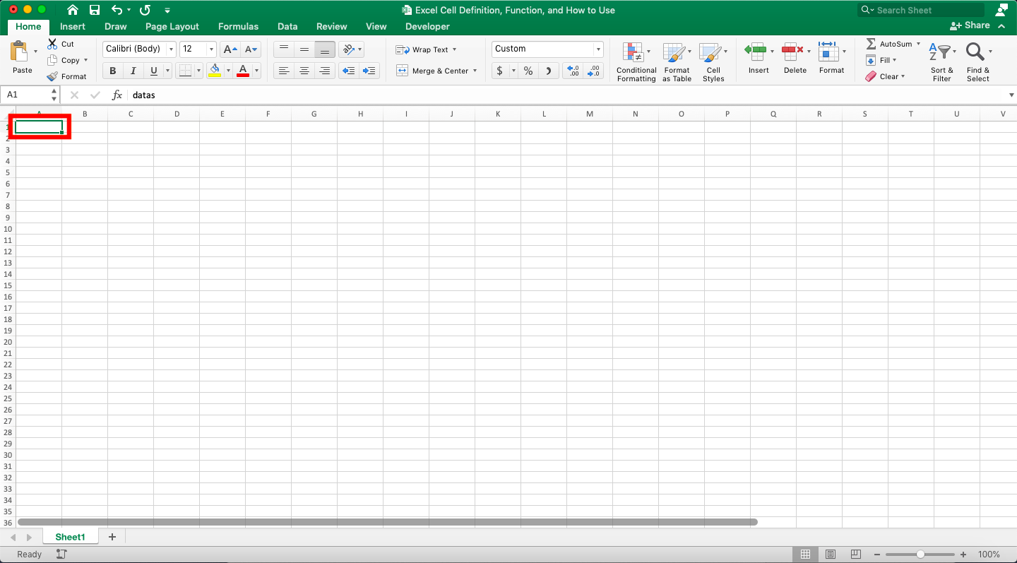 Excel Cell Definition, Functions, and How to Use - Screenshot of the Result Example for Hiding a Cell Content in Excel