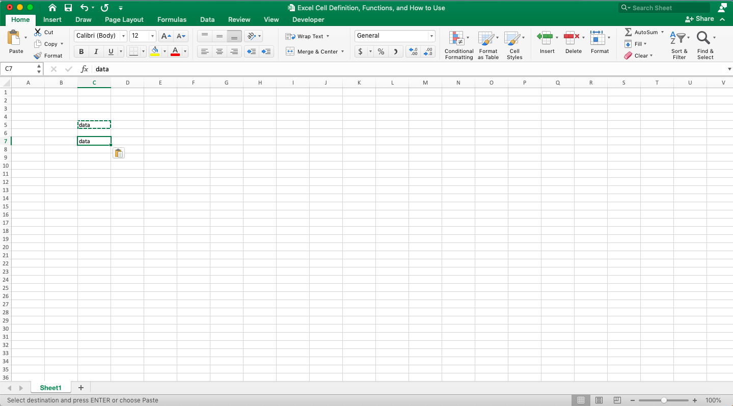 Excel Cell Definition, Functions, and How to Use - Screenshot of the Cell Copy Result Example in Excel