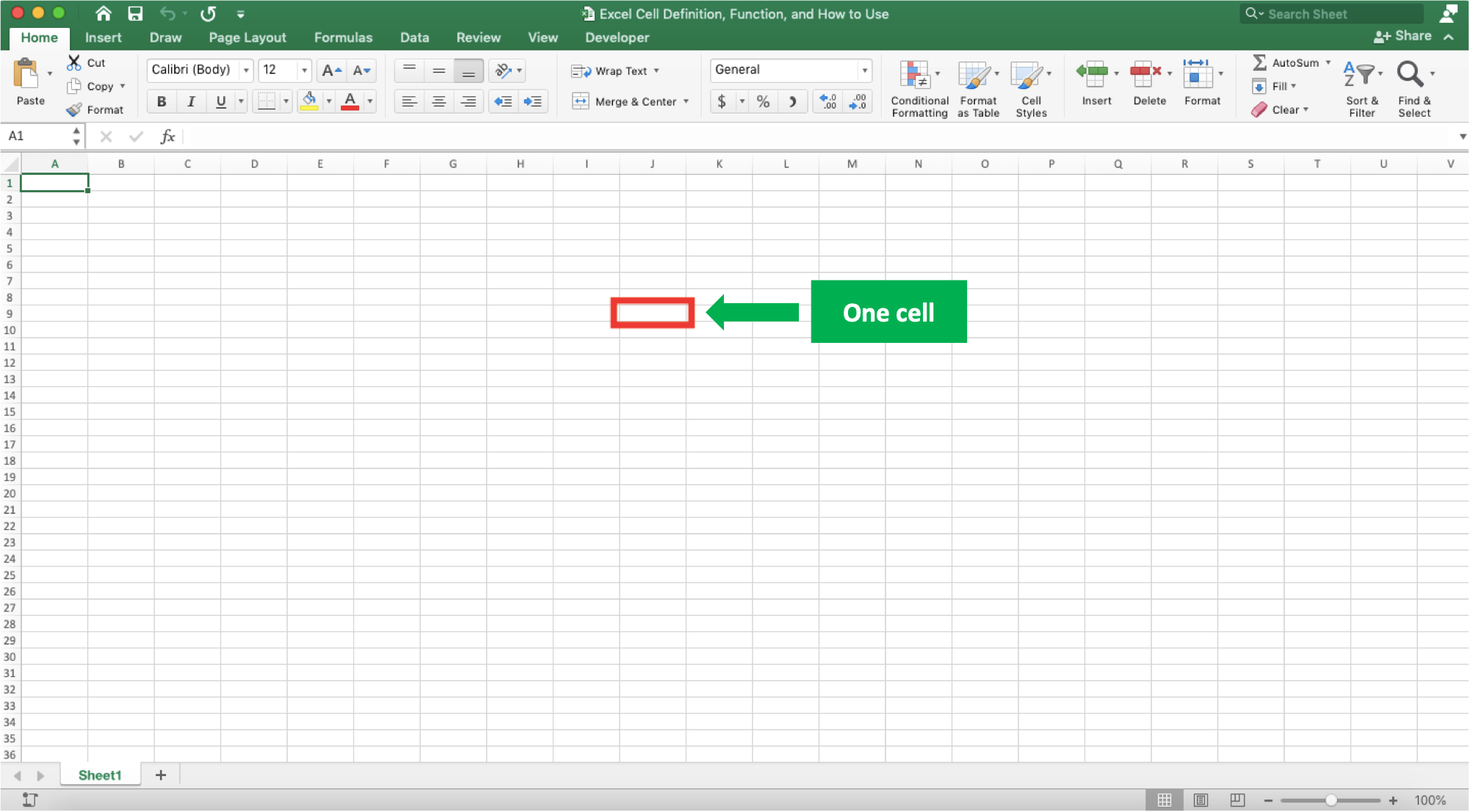 Excel Cell Definition, Functions, and How to Use - Screenshot of a Cell in Excel