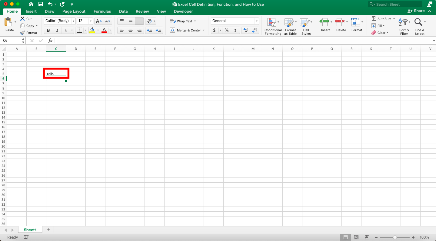 Excel Cell Definition, Functions, and How to Use - Screenshot of the Cell Input Result Example in Excel