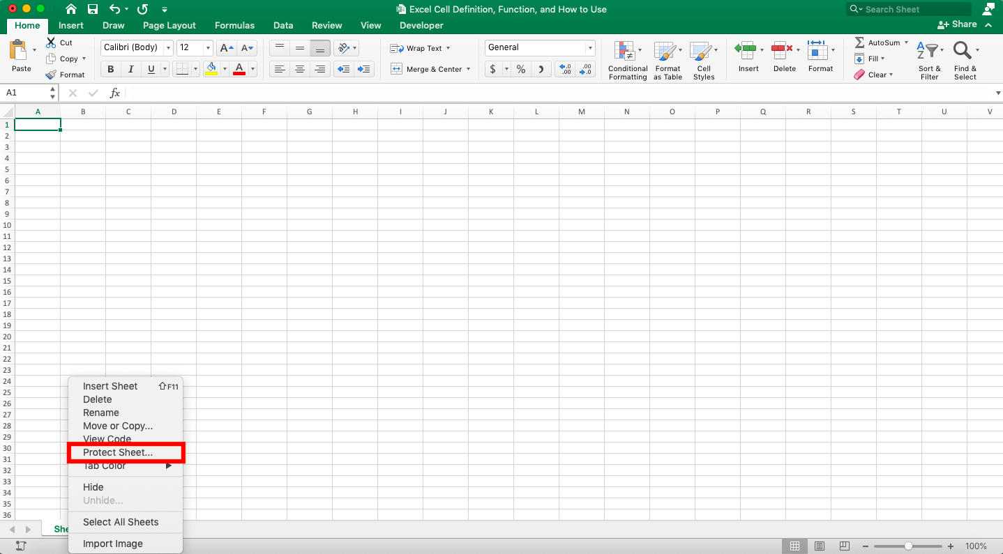 Excel Cell Definition, Functions, and How to Use - Screenshot of the Protect Sheet... Choice Location in the Sheet Right-Click Menu in Excel