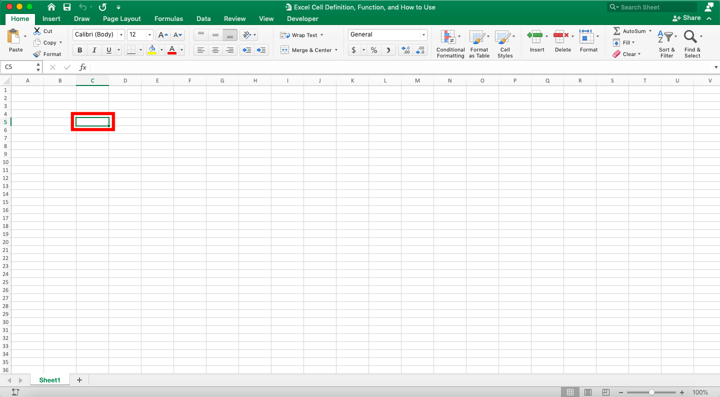 Excel Cell Definition, Functions, and How to Use - Screenshot of the Active Cell Mark in Excel