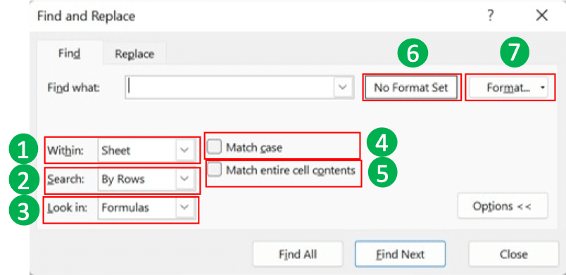 Ctrl + F in Excel: Function and How to Use It - Screenshot of the Advanced Parts of the Find & Replace Dialog Box (Find Tab)