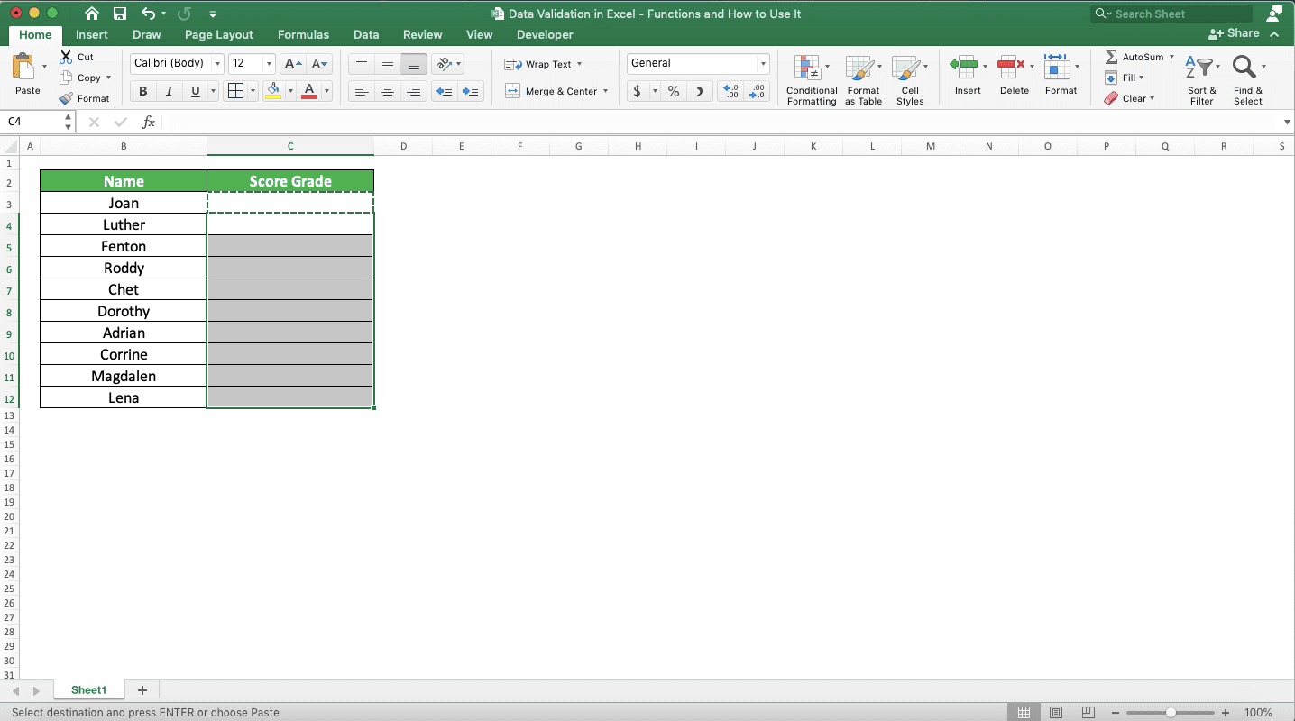 Data Validation in Excel: Functions and How to Use It - Screenshot of Copying Data Validation, Step 3