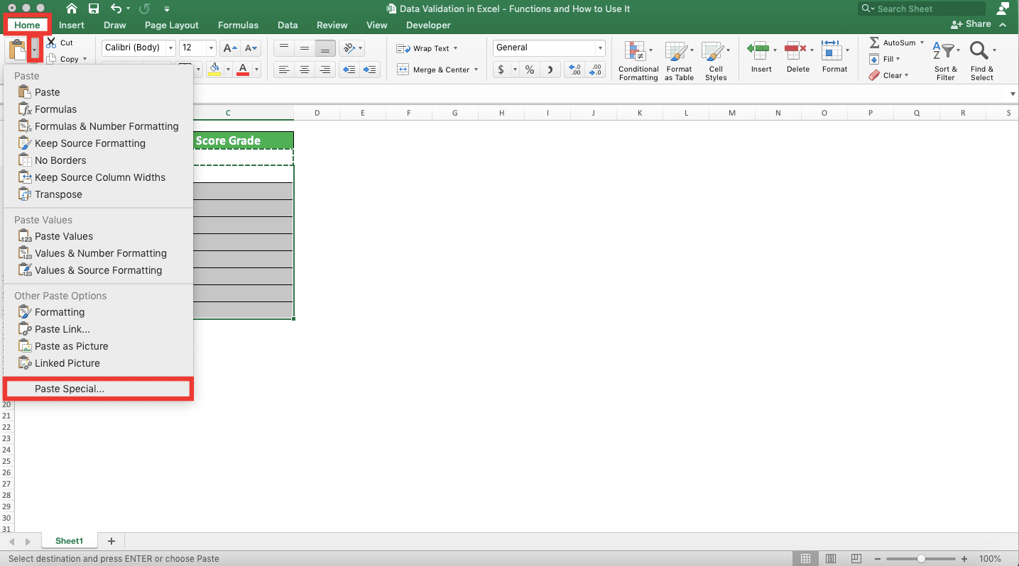 Data Validation in Excel: Functions and How to Use It - Screenshot of Copying Data Validation, Step 4