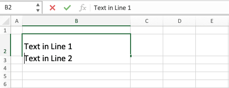 How to Enter and Make a New Line in an Excel Cell - Screenshot of the Alt + Enter Buttons Implementation Example to Make a New Line in an Excel Text