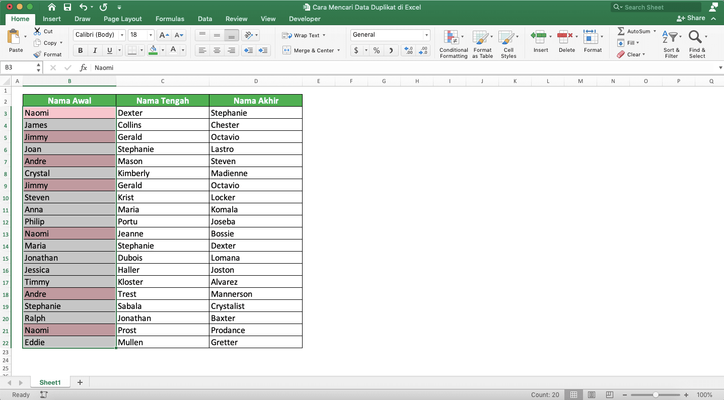 How to Find Duplicates in Excel - Screenshot of the Example for the Result of Finding Duplicates in Excel Using Conditional Formatting