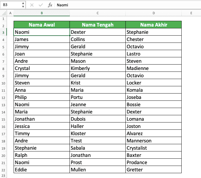 How to Find Duplicates in Excel - Screenshot of the Name Data Table for the Process Example of Finding Row Duplicates in Excel
