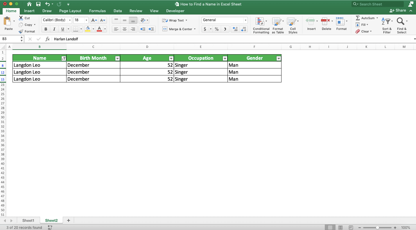 How to Find a Name in Excel Sheet - Screenshot of the Example for the Filter Result to Find Name in Excel
