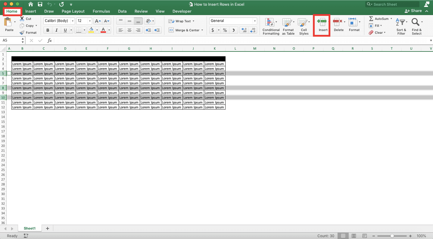 How to Insert Rows in Excel - Screenshot of How to Insert Multiple Non-Adjacent Rows in Excel, Step 4