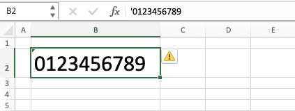 How to Add Leading Zeroes in Excel - Screenshot of the Result Example After Typing a Single Quote Before a Number with Leading Zeroes