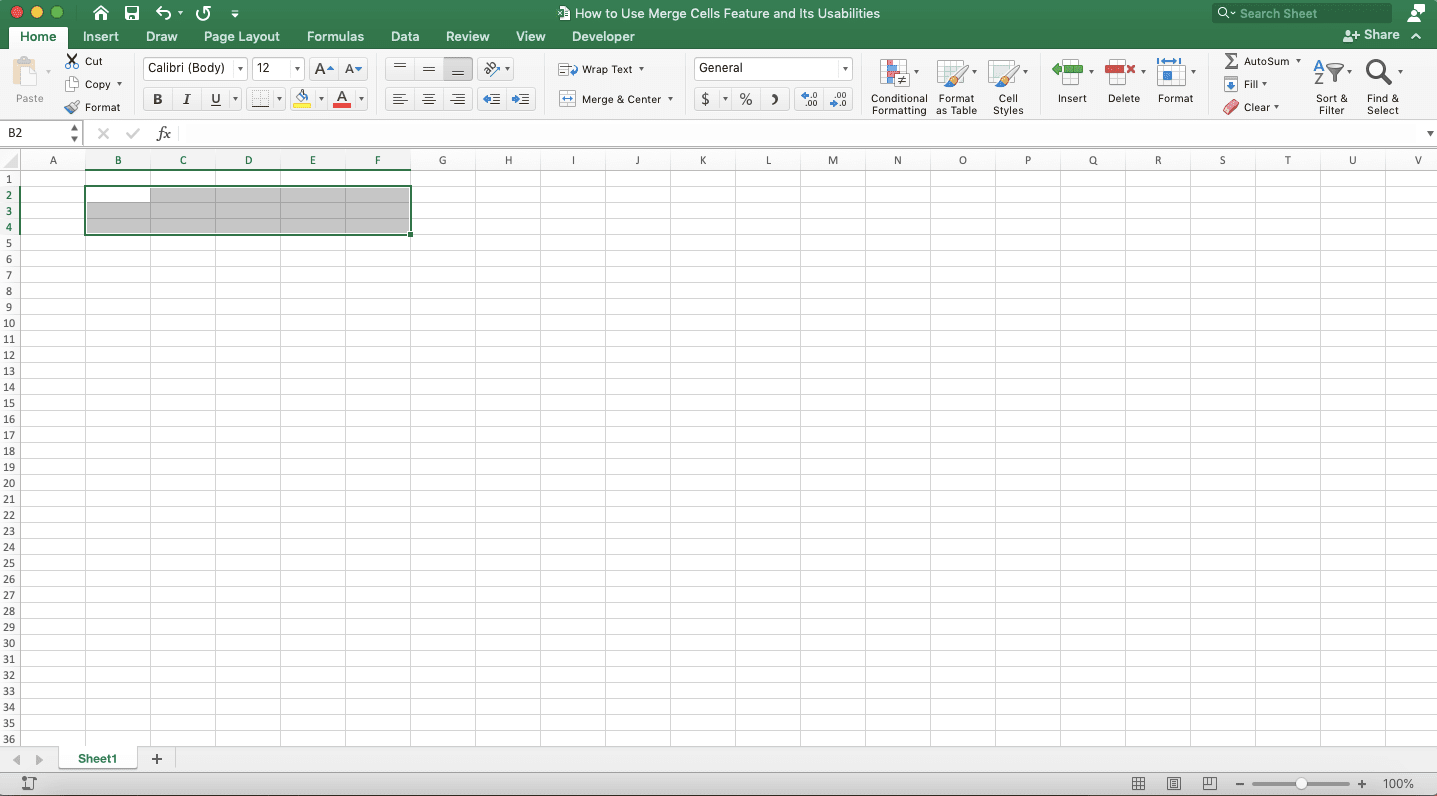 How to Use Merge Cells Feature and Its Usability - Screenshot of Step 1