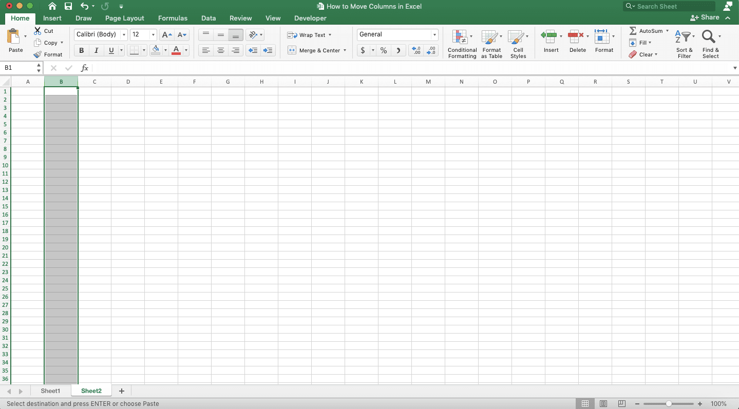 How to Move Columns in Excel - Screenshot of the Column Highlight on the Right Side of Where You Want to Move Your Columns in Another Worksheet