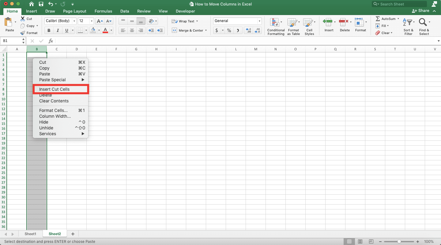 How to Move Columns in Excel - Screenshot of the Insert Cut Cells Choice Location