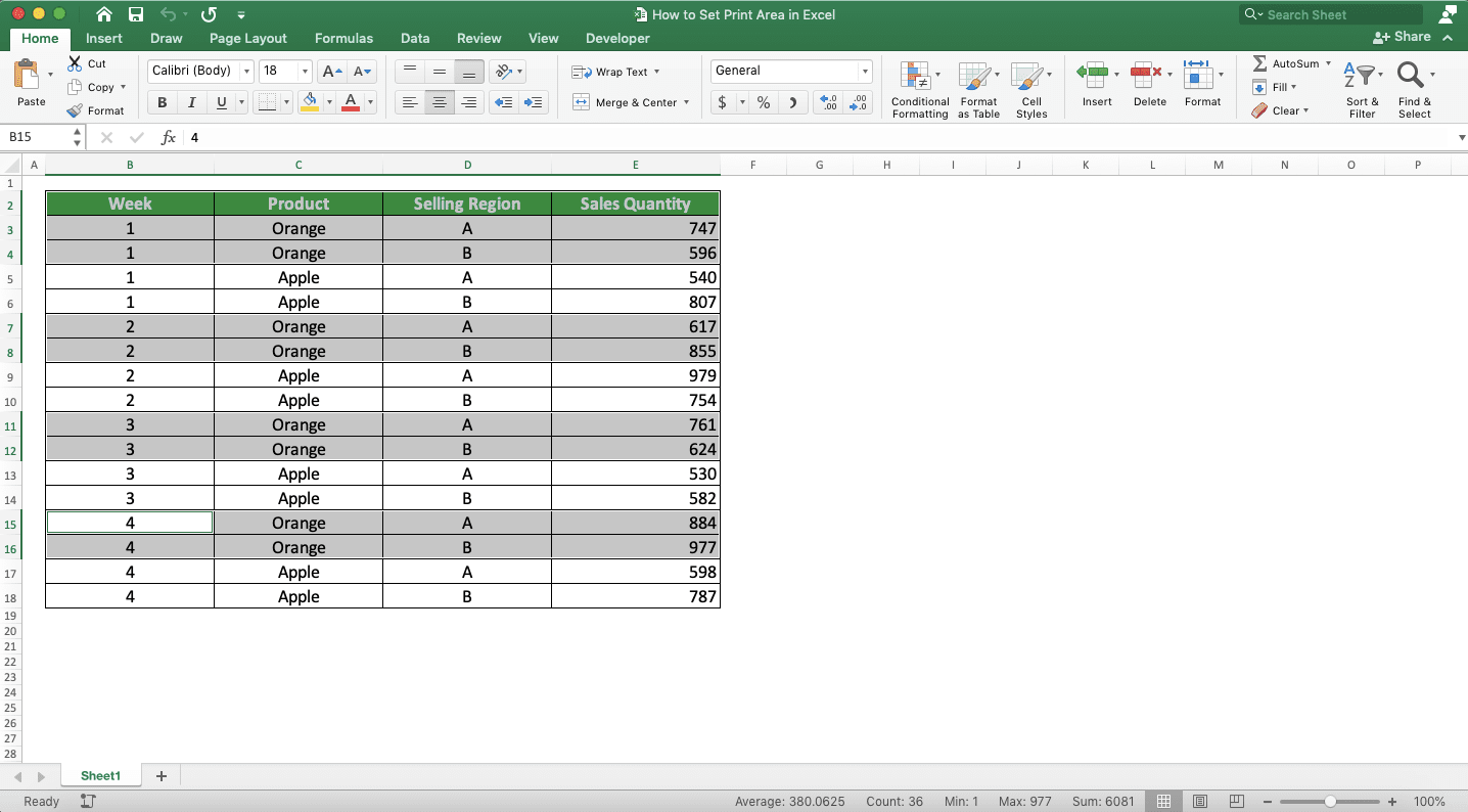 How to Set Print Area in Excel - Screenshot of the Multiple Cell Range Highlight Result Example