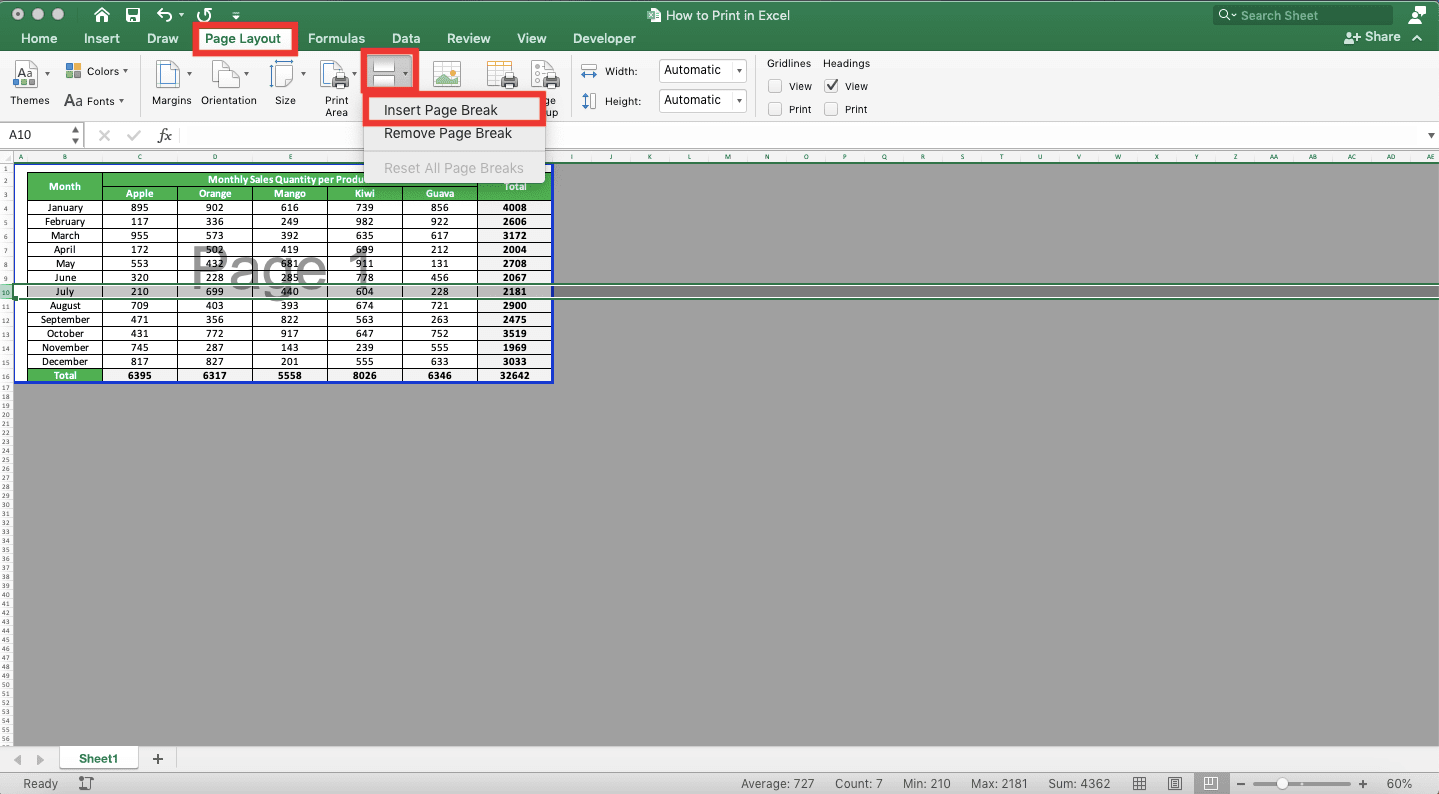 How to Print in Excel Neatly - Screenshot of How to Insert Page Breaks, Step 3