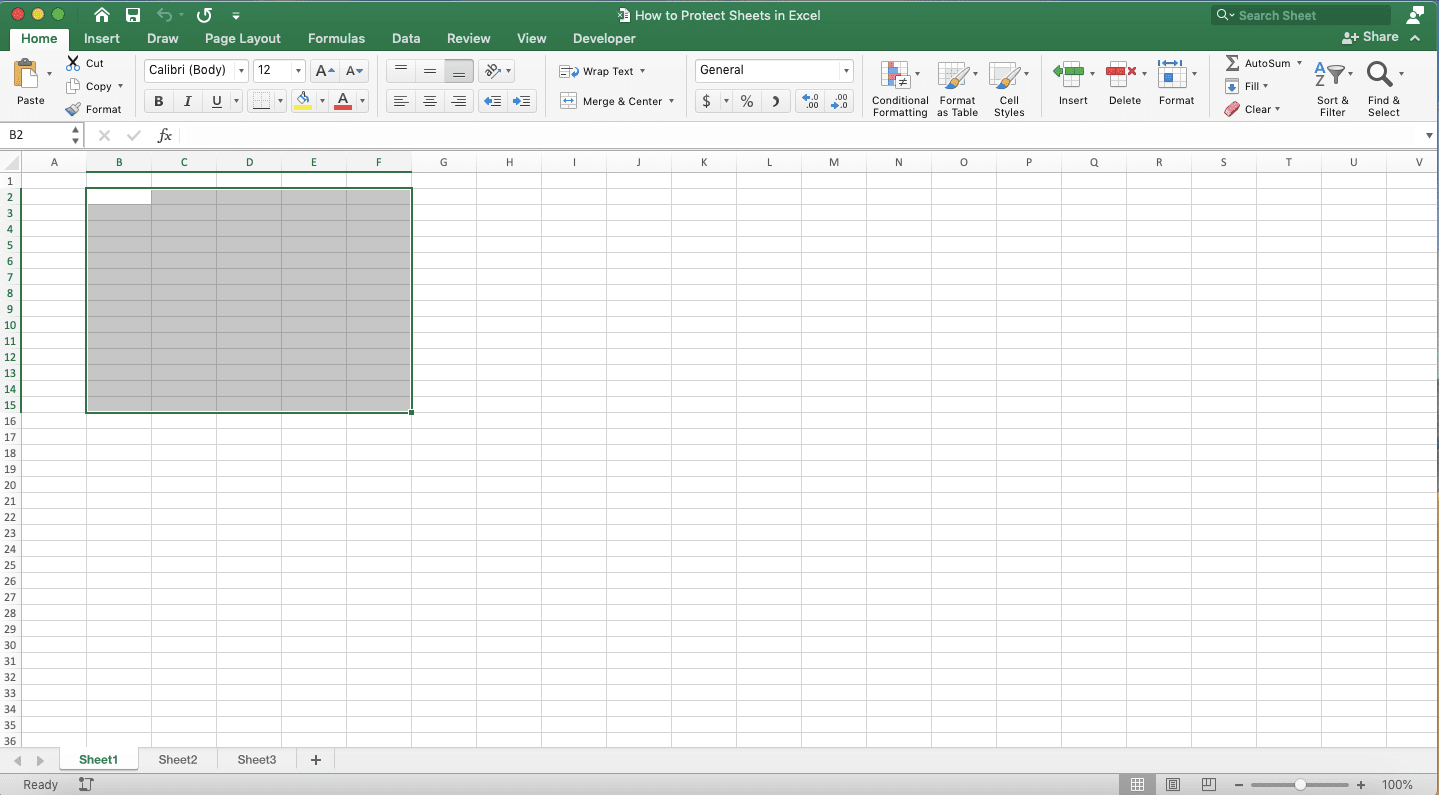 How to Protect Sheets in Excel - Screenshot of How to Manage Cells Protection Settings, Step 1
