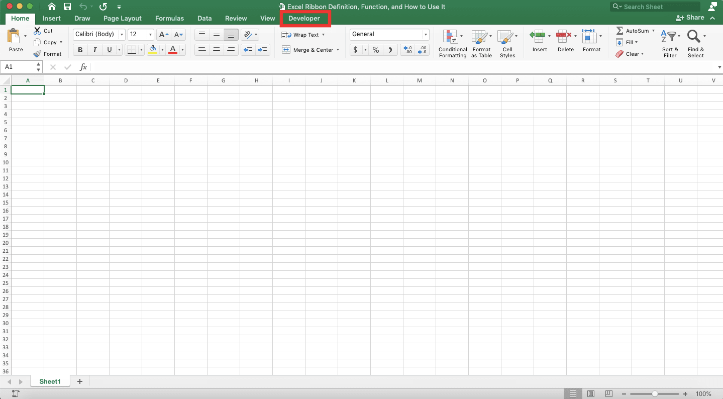 Excel Ribbon; Definition, Function, and How to Use It - Screenshot of the Developer Tab in the Excel Ribbon