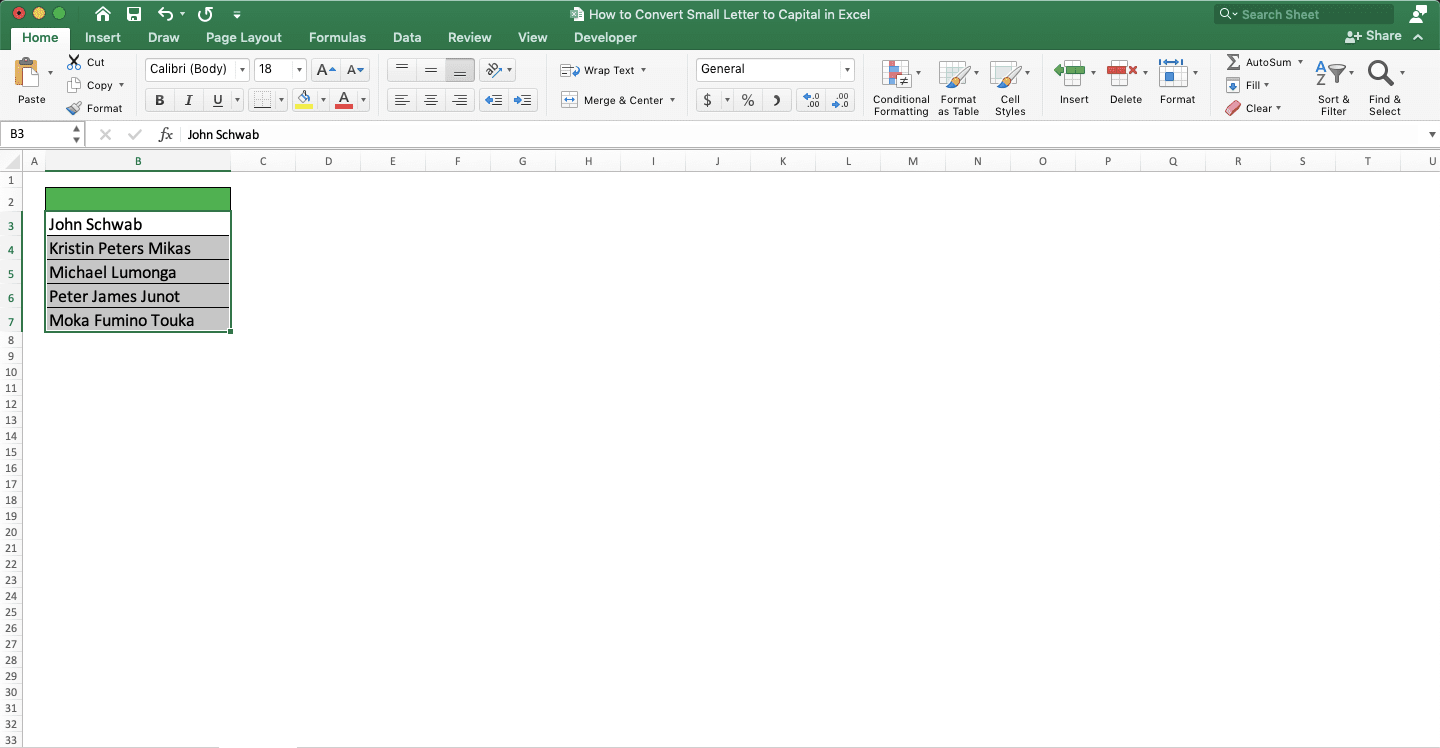 How to Convert Small Letters to Capital in Excel - Screenshot of the Text Cells Highlight to Change Their Font Type for Letters Capitalization