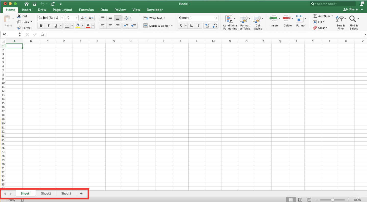 Excel Worksheet & Workbook Definition and Difference - Screenshot of the Location Where You Manage Your Worksheets in Excel