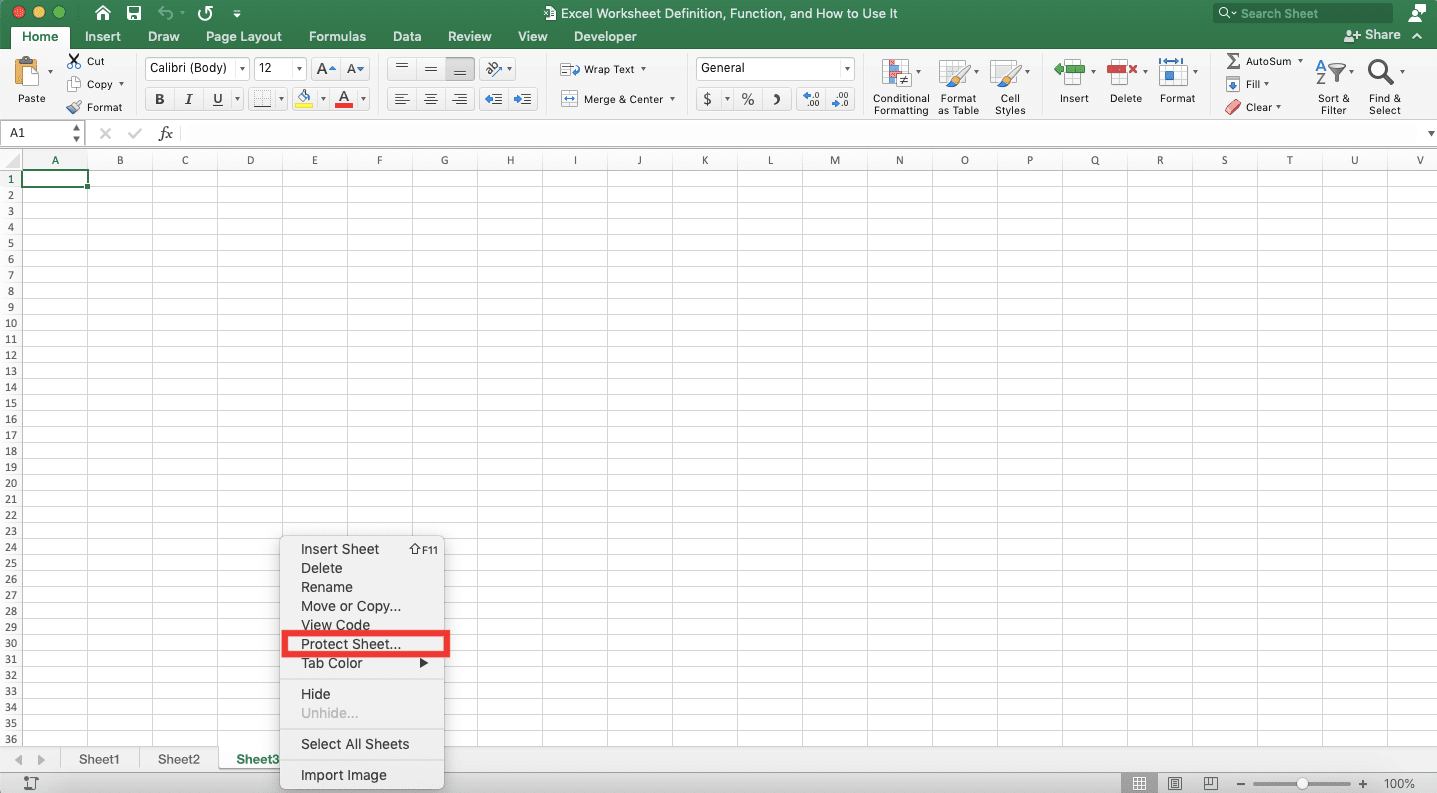Excel Worksheet Definition, Function, and How to Use It - Screenshot of the Protect Sheet... Choice Location in the Sheet Right-Click Menu in Excel