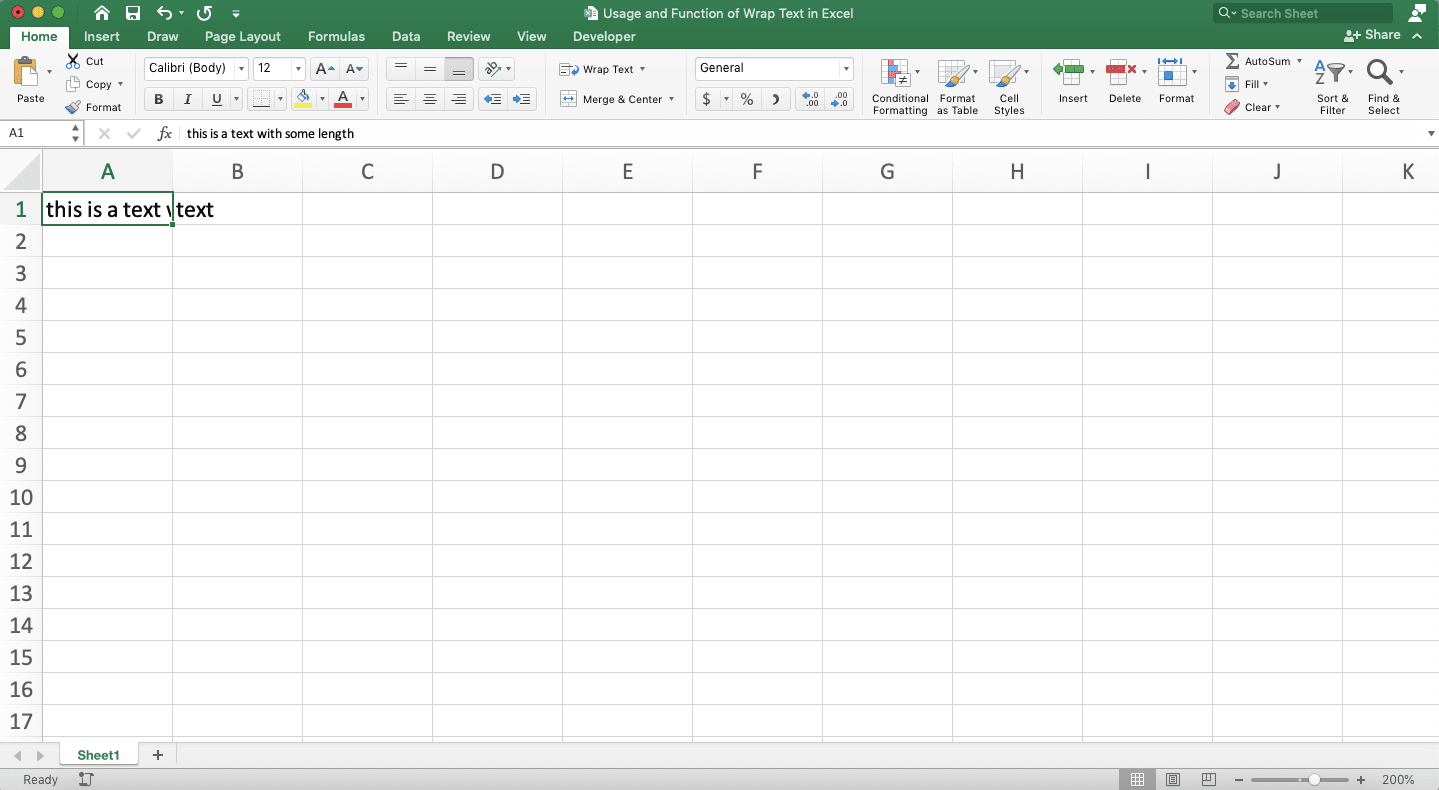 Usage and Function of Wrap Text in Excel - Screenshot of Long Text Example That Needs Wrap Text